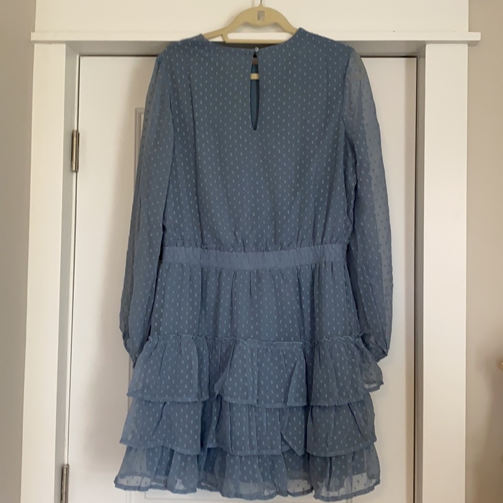 Express Ruffle Dress - Picture 4 of 4